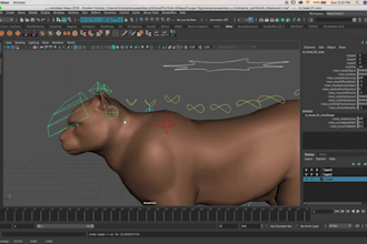 do 3d second life model, character rigging, animal rigging, animation,3d avatar