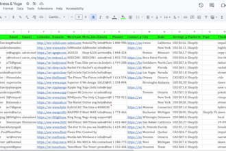 get you shopify store owner contact list
