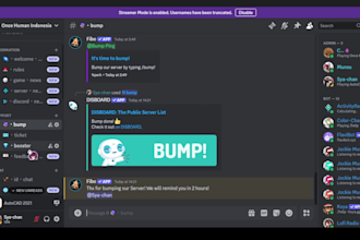 create your profesional discord server or setup services