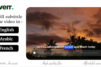 provide professional multilingual subtitles for videos srt files 24h delivery