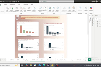 transform raw data into dynamic power bi visuals and reports