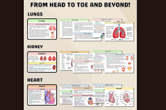 design medical healthcare infographics anatomy diagrams reports hyperlinks etsy