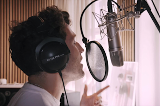 write a professional topline with custom lyrics, vocals and harmonies