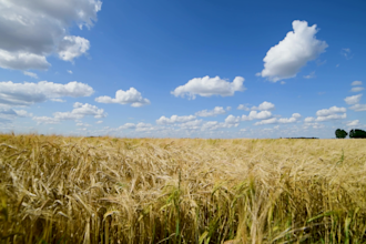 enhance the colors of your videos