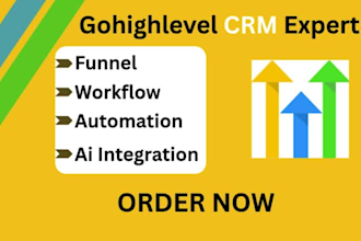 expert go high level workflow gohighlevel ai integration setup funnel automation