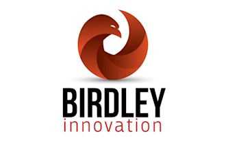 design an OUTSTANDING With Unlimited Revision