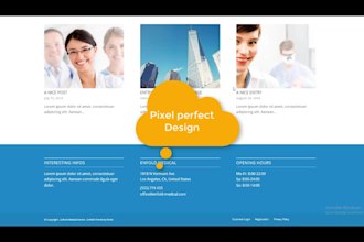 design or redesign wordpress websites or pages