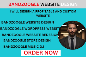 design bandzoogle website,bandzoogle wordpress,bandzoogle store,redesign musicdj