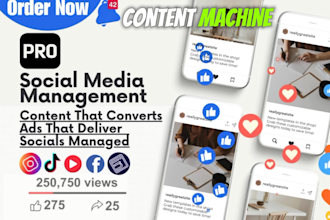 manage social media accounts and content growth for ecommerce brands