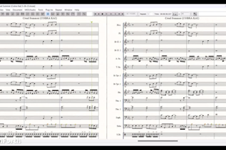 arrange music for marching and concert band, ensembles, and drum cadences