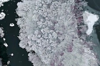 edit a commercial cinematic trailer for you