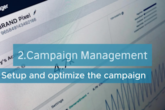 manage your dropshipping facebook ads campaigns with powerful strategy