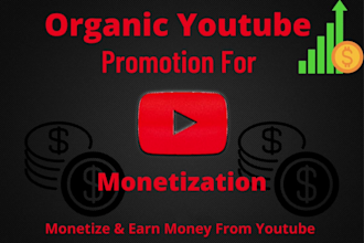 do organic youtube video SEO and promotion to get you the monetization