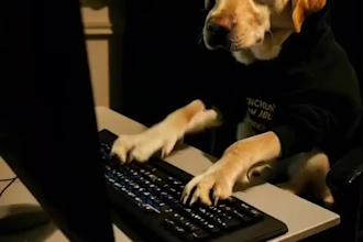 prompt sora ai text to video sora video kling ai meta movie gen