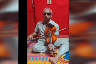 teach you indian classical  instrument violine