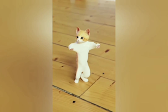 create monetizable funny animals videos, pets compilation within 24hr