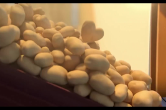 do 3d kids animation 3d character animation video cartoon music video