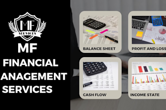 do financial projections, profit and loss, income statement