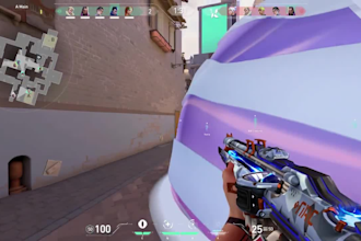 help you rank up