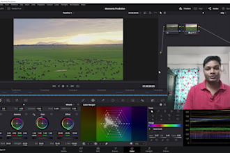 edit, color grade video with davinci resolve