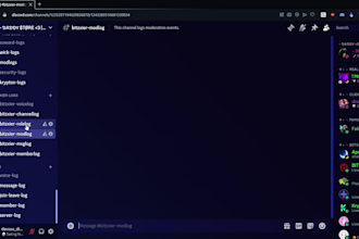 make you a customized discord server