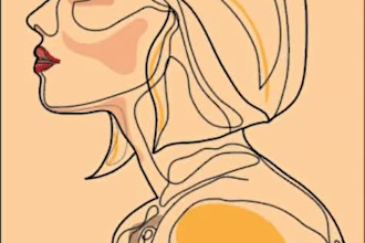 draw abstract line art portrait illustrations in 24 hours