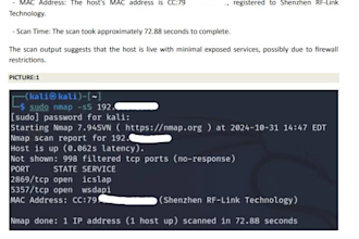 perform professional penetration testing and vulnerability assessment