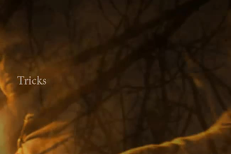create a booktrailer o teaser for you
