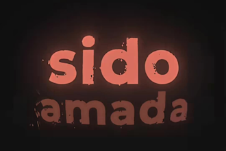 provide professional english to portuguese and spanish translations