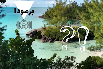 record a natural egyptian arabic female voice over