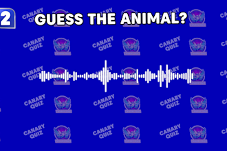make quiz and trivia questions videos for youtube channel