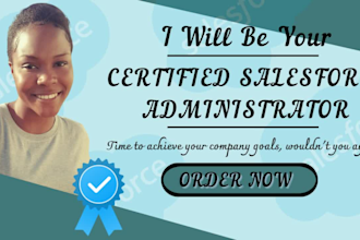 be your salesforce admin, salesforce developer, salesforce support