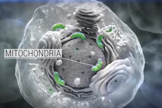do 2d 3d medical animation video and motion graphics video
