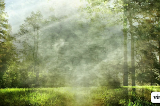 compose ambient background music for your animation