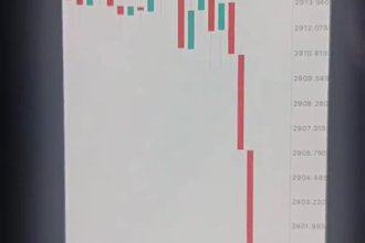 code any indicator or strategy in mt4 mt5 for tradingview, algorithm trading