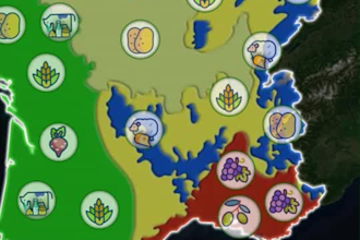 create professional animated map videos