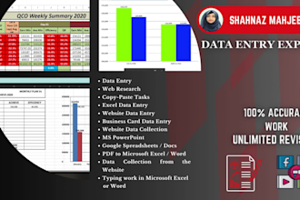 do expert data entry and management services