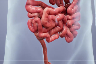 create professional 3d medical animation medical device,surgery,anatomy video