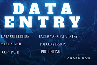 do data entry ,copy paste,web research,typing job