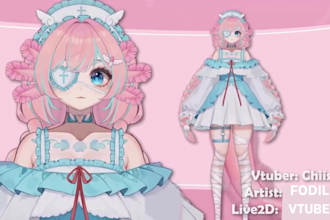 design a custom live2d vtuber model, rign 2d vtuber model, 2d vtuber commission