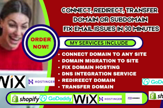 fix email connect domain subdomain transfer domain migrate email shopify wix