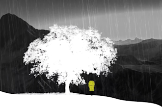 create 2d cartoon story animation video, kinetic typography, explainer