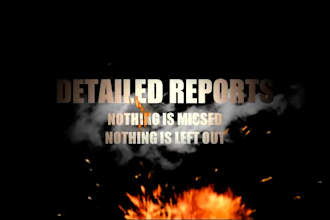 try to hack your website in 10 different ways and report the results to you