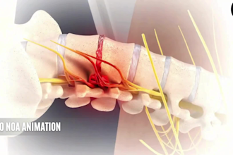 create realistic 3d medical animation video 3d skeletal 3d anatomy medical video
