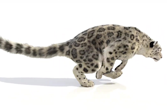 realistic integrate 3d animal model 3d creature with xgen hair realistic fur