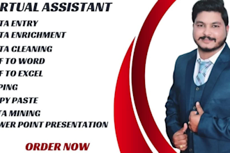 do best data entry copy paste job in microsoft excel and word