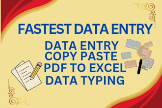 do accurate fast data entry in excel or google sheets, convert pdf and so on