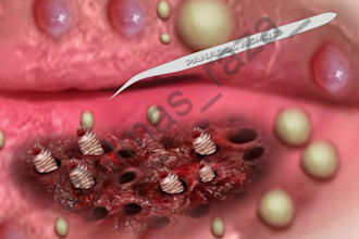 make oddly satisfying 3d asmr animation videos
