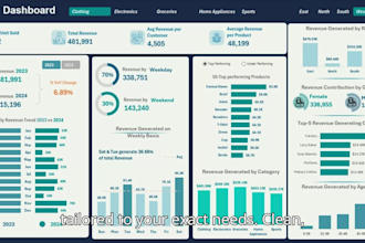 analysis raw data and build dynamic excel dashboard