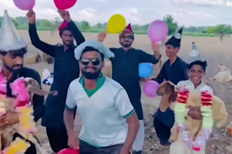 african happy birthday video african happy birthday video